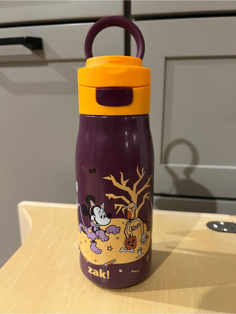 Zak! Minnie Halloween themed 13.5 oz Insulated Water Bottle